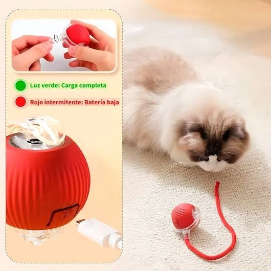 Pelota electrica para mascotas