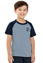Remera Masculina Champion Azul