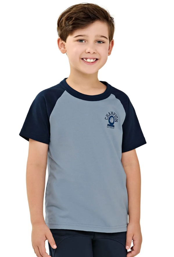 Remera Masculina Champion Azul