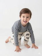 Conjunto Bani