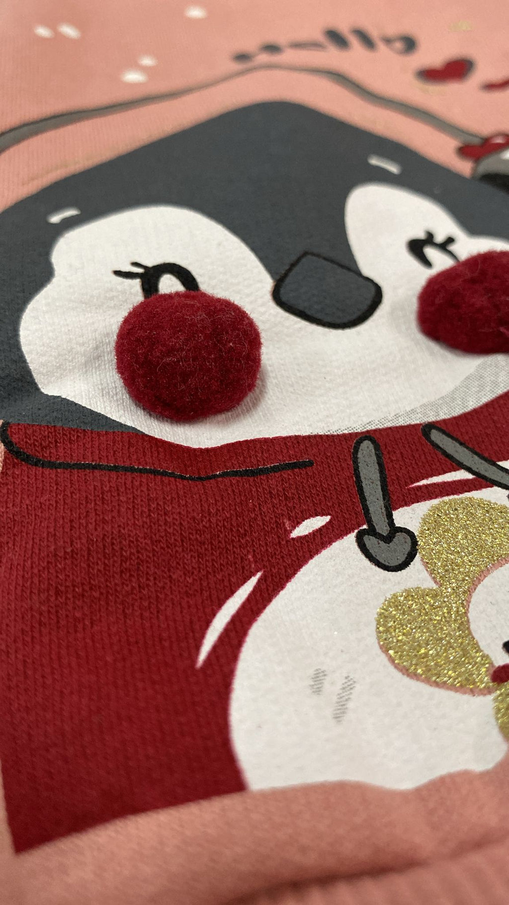 Conjunto Pingüino Elian