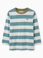 Remera Dino Rayado