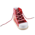 Zapato Con Cordones Para Educación