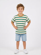 Remera Brandili - Verde/Beige